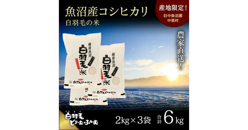 【ふるさと納税】【通年受付】≪令和6年産≫　農家直送！魚沼産コシヒカリ「白羽毛の米」精米 (2kg×3袋) 6kg　 お米 白米 ご飯 　お届け：10月01日発送開始。通年受付にてお届けします。