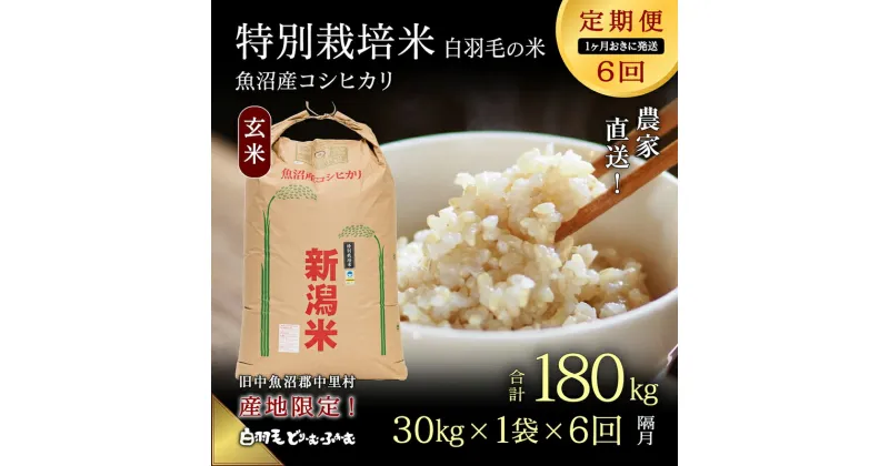 【ふるさと納税】【通年受付】≪令和6年産　≫【定期便／1ヶ月おき全6回】農家直送！魚沼産コシヒカリ特別栽培「白羽毛の米」玄米(30kg×1袋)×6回 計180kg　定期便・ お米 白米 安心　　お届け：入金の翌月以降発送。通年受付にて、1ヶ月おきに月全6回お届けいたします。