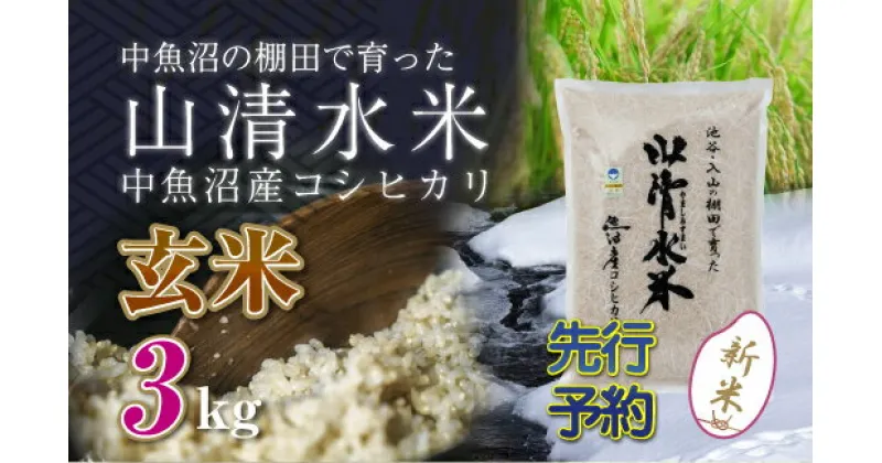 【ふるさと納税】【新米先行受付】新潟県魚沼産コシヒカリ「山清水米」玄米3kg　十日町市　お届け：2024年10月上旬から順次発送します。