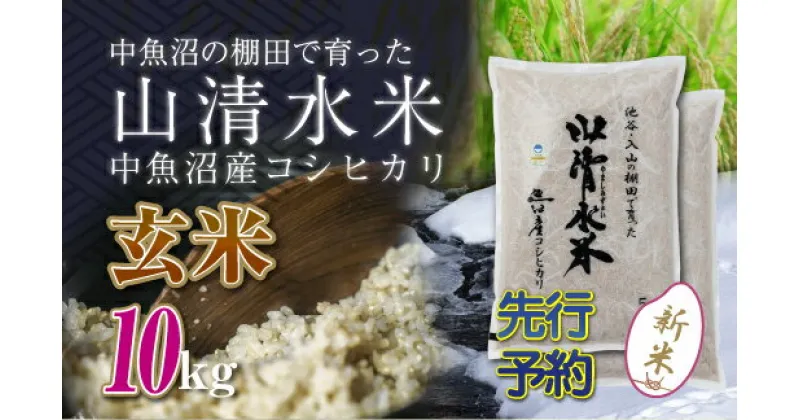 【ふるさと納税】【新米先行受付】新潟県魚沼産コシヒカリ「山清水米」玄米10kg　十日町市　お届け：2024年10月上旬から順次発送します。