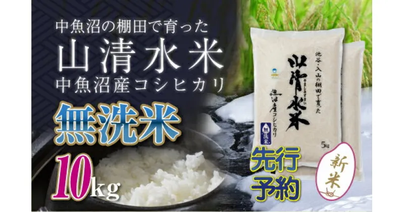 【ふるさと納税】【新米先行受付】新潟県魚沼産コシヒカリ「山清水米」無洗米10kg　十日町市　お届け：2024年10月上旬から順次発送します。