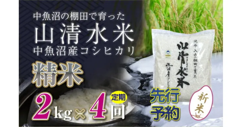 【ふるさと納税】【新米先行受付】【定期便／全4回】精米2kg　新潟県魚沼産コシヒカリ「山清水米」　定期便・十日町市　お届け：2024年10月中旬から順次発送します。