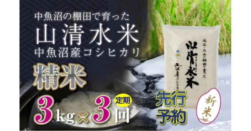 【ふるさと納税】【新米先行受付】【定期便／全3回】精米3kg　新潟県魚沼産コシヒカリ「山清水米」　定期便・十日町市　お届け：2024年10月中旬から順次発送します。