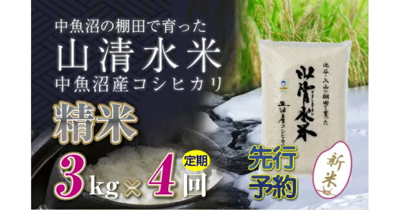 【ふるさと納税】【新米先行受付】【定期便／全4回】精米3kg　新潟県魚沼産コシヒカリ「山清水米」　定期便・十日町市　お届け：2024年10月中旬から順次発送します。