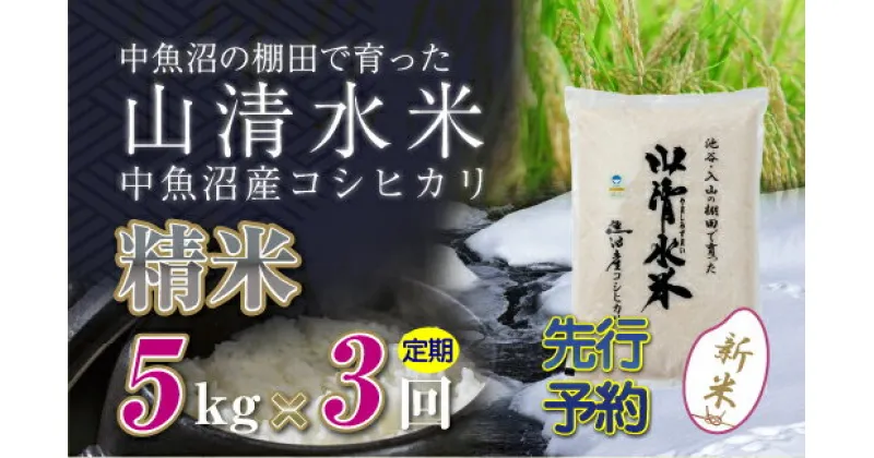 【ふるさと納税】【新米先行受付】【定期便／全3回】精米5kg　新潟県魚沼産コシヒカリ「山清水米」　定期便・十日町市　お届け：2024年10月中旬から順次発送します。