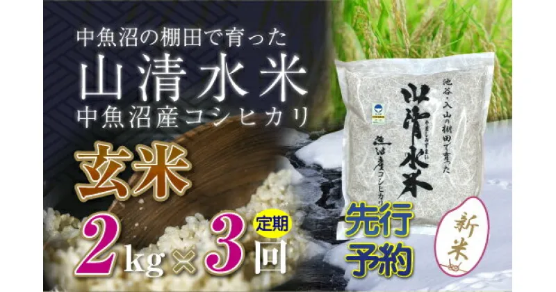 【ふるさと納税】【新米先行受付】【定期便／全3回】玄米2kg　新潟県魚沼産コシヒカリ「山清水米」　定期便・十日町市　お届け：2024年10月中旬から順次発送します。