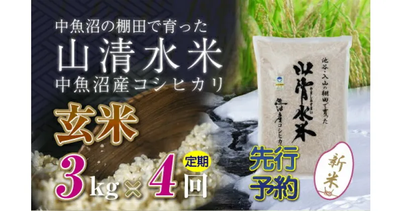 【ふるさと納税】【新米先行受付】【定期便／全4回】玄米3kg　新潟県魚沼産コシヒカリ「山清水米」　定期便・十日町市　お届け：2024年10月中旬から順次発送します。