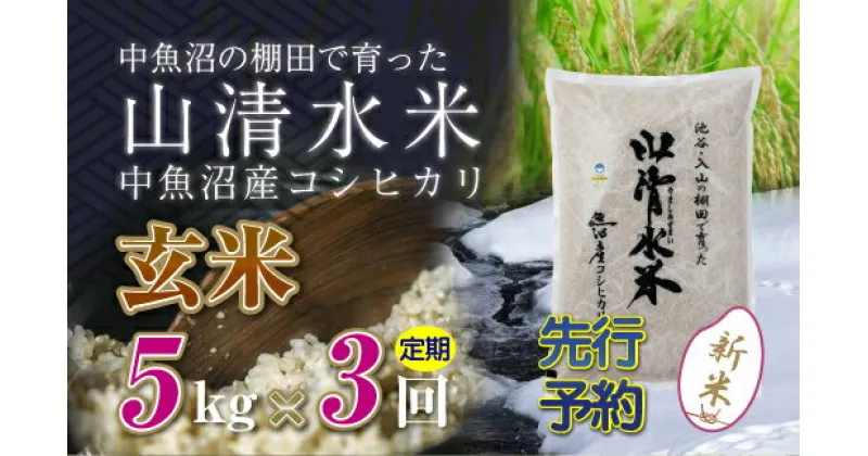 【ふるさと納税】【新米先行受付】【定期便／全3回】玄米5kg　新潟県魚沼産コシヒカリ「山清水米」　定期便・十日町市　お届け：2024年10月中旬から順次発送します。