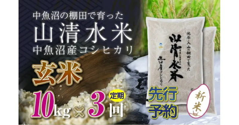 【ふるさと納税】【新米先行受付】【定期便／全3回】玄米10kg　新潟県魚沼産コシヒカリ「山清水米」　定期便・十日町市　お届け：2024年10月中旬から順次発送します。