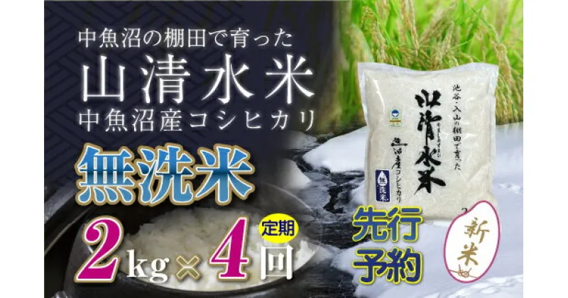 【ふるさと納税】【新米先行受付】【定期便／全4回】無洗米2kg　新潟県魚沼産コシヒカリ「山清水米」　定期便・十日町市　お届け：2024年10月中旬から順次発送します。