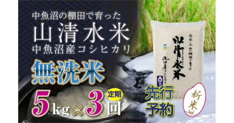 【ふるさと納税】【新米先行受付】【定期便／全3回】無洗米5kg　新潟県魚沼産コシヒカリ「山清水米」　定期便・十日町市　お届け：2024年10月中旬から順次発送します。