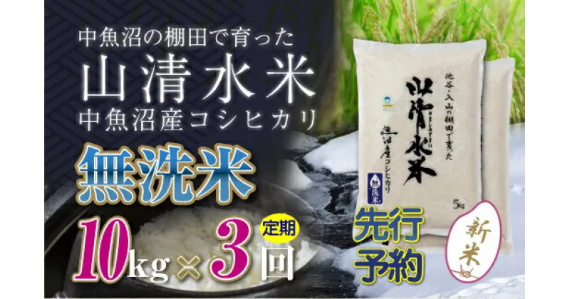 【ふるさと納税】【新米先行受付】【定期便／全3回】無洗米10kg　新潟県魚沼産コシヒカリ「山清水米」　定期便・十日町市　お届け：2024年10月中旬から順次発送します。