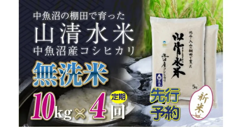 【ふるさと納税】【新米先行受付】【定期便／全4回】無洗米10kg　新潟県魚沼産コシヒカリ「山清水米」　定期便・十日町市　お届け：2024年10月中旬から順次発送します。