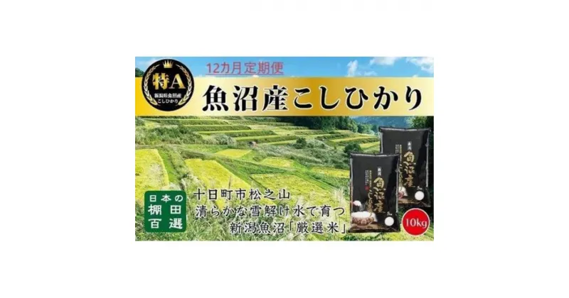 【ふるさと納税】「12カ月定期便」日本棚田百選のお米　天空の里・魚沼産こしひかり　10kg(5kg×2)×12回　定期便・ お米 白米 ご飯