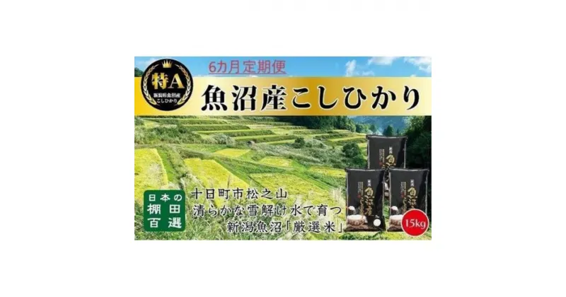 【ふるさと納税】「6カ月定期便」日本棚田百選のお米　天空の里・魚沼産こしひかり　15kg(5kg×3)×6回　定期便・ 白米