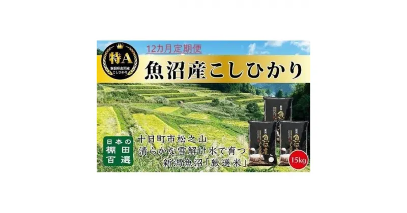 【ふるさと納税】「12カ月定期便」日本棚田百選のお米　天空の里・魚沼産こしひかり　15kg(5kg×3)×12回　定期便・ お米 白米