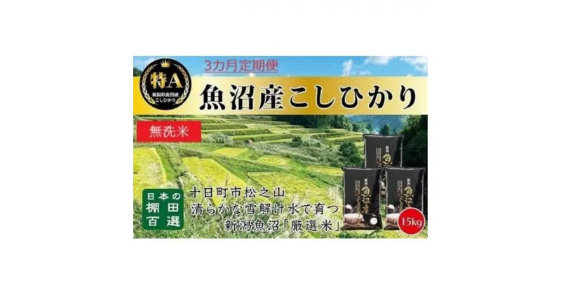 【ふるさと納税】無洗米「3カ月定期便」日本棚田百選のお米　天空の里・魚沼産こしひかり　15kg(5kg×3)×3回　定期便・ 白米 安心 安全 こだわり