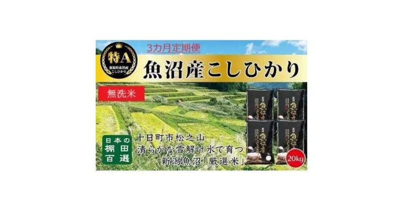 【ふるさと納税】無洗米「3カ月定期便」日本棚田百選のお米　天空の里・魚沼産こしひかり　20kg（5kg×4）×3回　定期便・ 白米 安心 安全 こだわり