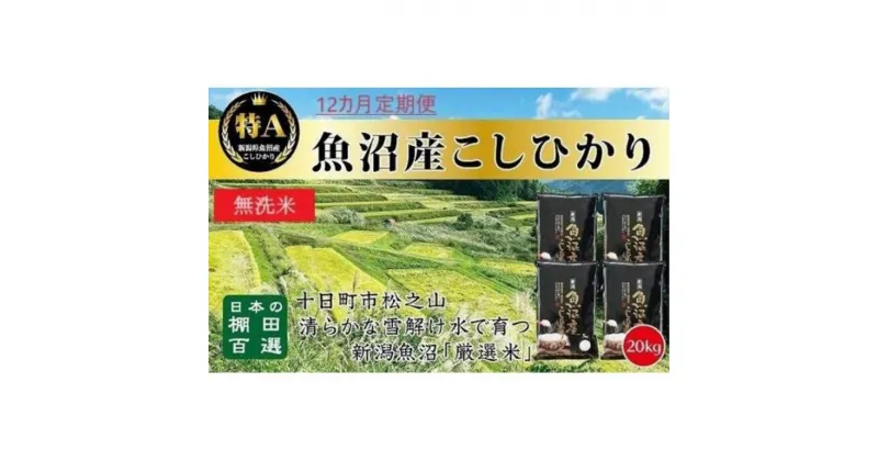 【ふるさと納税】無洗米「12カ月定期便」日本棚田百選のお米　天空の里・魚沼産こしひかり　20kg（5kg×4）×12回　定期便・ 白米 安心 安全 こだわり