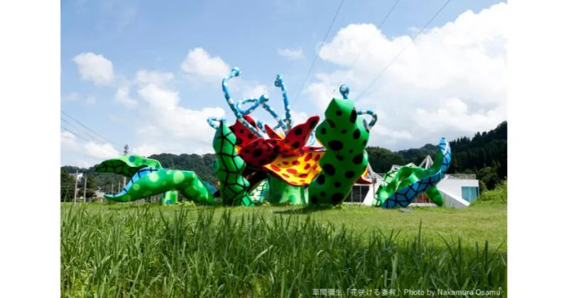 【ふるさと納税】大地の芸術祭 越後妻有アートトリエンナーレ2024 作品鑑賞パスポート 2冊　 チケット 入場券 優待券 作品鑑賞 アート パスポート 芸術 　お届け：2024年6月下旬以降、順次発送いたします。