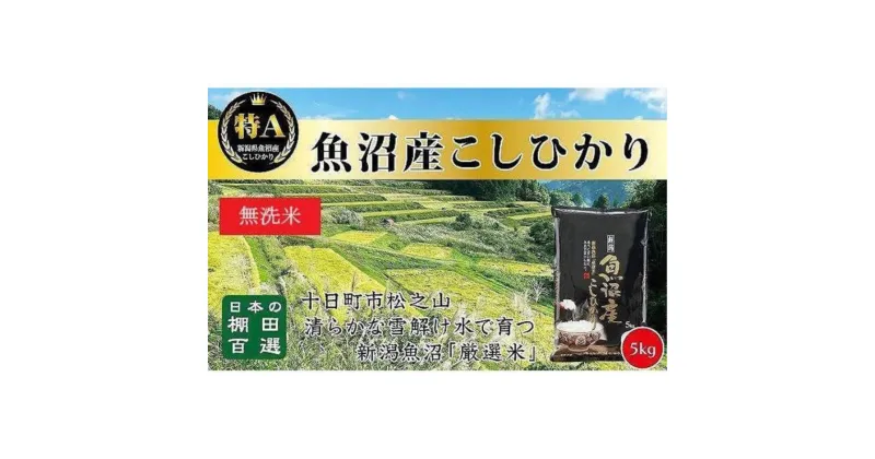 【ふるさと納税】日本棚田百選のお米《無洗米》天空の里・魚沼産こしひかり　5kg×1　 白米 安心 安全 こだわり 　お届け：ご入金確認後、2週間以内に発送致します。