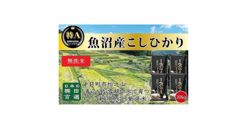 【ふるさと納税】日本棚田百選のお米《無洗米》天空の里・魚沼産こしひかり　20kg（5kg×4）　 白米 安心 安全 こだわり 　お届け：ご入金確認後、2週間以内に発送致します。