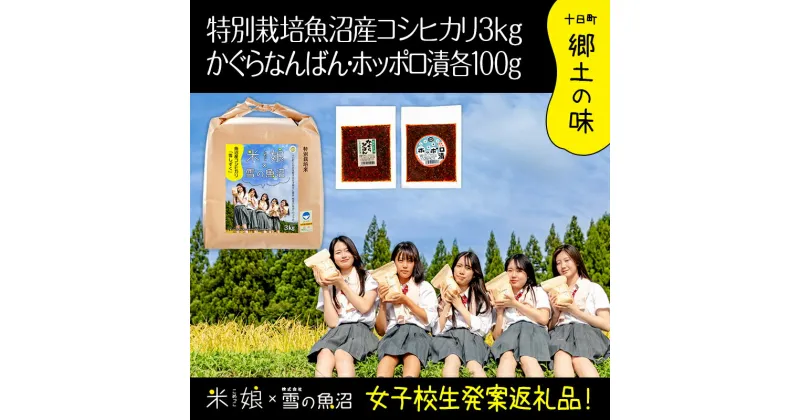 【ふるさと納税】【令和6年産】女子高生「米娘」×株式会社雪の魚沼！県認証特栽魚沼コシヒカリ3kgとかぐらなんばん・ホッポロ漬各100g　お届け：令和6年9月20日以降、準備でき次第、順次発送いたします