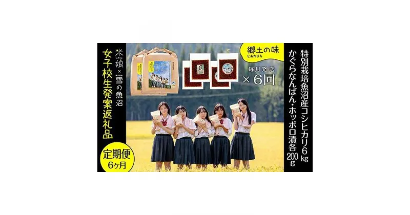 【ふるさと納税】【令和6年産】定期便！女子高生発案！農家とコラボ！県認証特栽魚沼コシヒカリ（毎月6kg+かぐらなんばん・ホッポロ漬各200g）×6回　定期便・ 精米 ブランド米 ご飯のお供 味噌漬け 　お届け：ご入金確認の翌月以降、発送いたします。