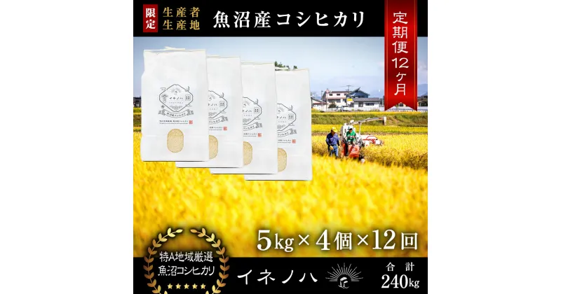 【ふるさと納税】＜定期便・全12回＞【令和6年産】魚沼産コシヒカリ「イネノハ 」精米(5kg×4)×12回　定期便・ お米 白米 ご飯 産地直送 ミネラル 栄養分 こだわり 人気 新鮮 　お届け：毎月1回、全12回お届けします