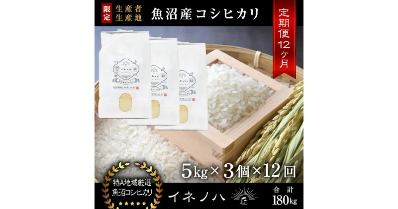 【ふるさと納税】＜定期便・全12回＞【令和6年産】魚沼産コシヒカリ「イネノハ 」精米(5kg×3)×12回　定期便・ お米 白米 ご飯 産地直送 ミネラル 栄養分 こだわり 人気 新鮮 　お届け：毎月1回、全12回お届けします