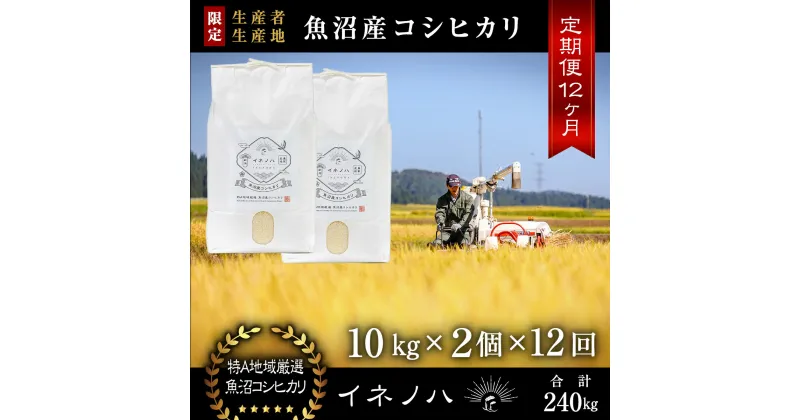 【ふるさと納税】＜定期便・全12回＞【令和6年産】魚沼産コシヒカリ「イネノハ 」精米(10kg×2)×12回　定期便・ お米 白米 ご飯 産地直送 ミネラル 栄養分 こだわり 人気 新鮮 　お届け：毎月1回、全12回お届けします