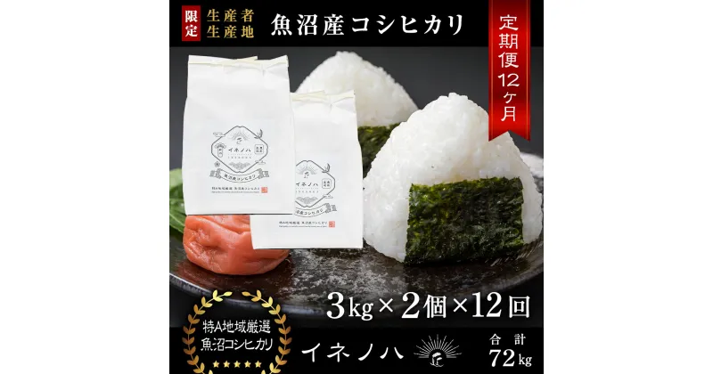 【ふるさと納税】＜定期便・全12回＞【令和6年産】魚沼産コシヒカリ「イネノハ 」精米(3kg×2)×12回　定期便・ お米 白米 ご飯 産地直送 ミネラル 栄養分 こだわり 人気 新鮮 　お届け：毎月1回、全12回お届けします