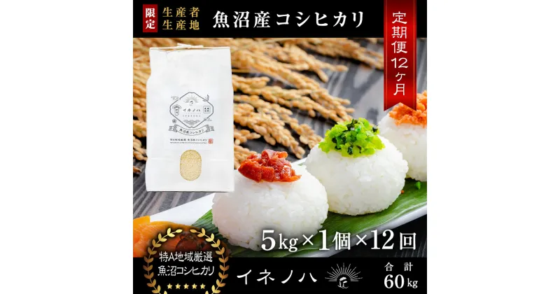 【ふるさと納税】＜定期便・全12回＞【令和6年産】魚沼産コシヒカリ「イネノハ 」精米(5kg×1)×12回　定期便・ お米 白米 ご飯 産地直送 ミネラル 栄養分 こだわり 人気 新鮮 　お届け：毎月1回、全12回お届けします