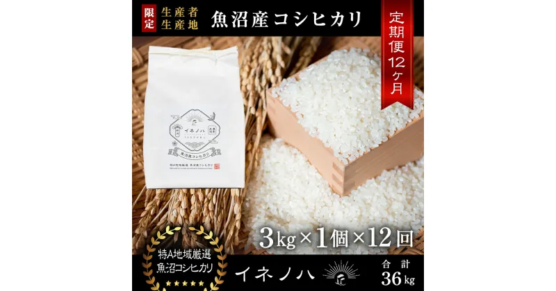 【ふるさと納税】＜定期便・全12回＞【令和6年産】魚沼産コシヒカリ「イネノハ 」精米(3kg×1)×12回　定期便・ お米 白米 ご飯 産地直送 ミネラル 栄養分 こだわり 人気 新鮮 　お届け：毎月1回、全12回お届けします