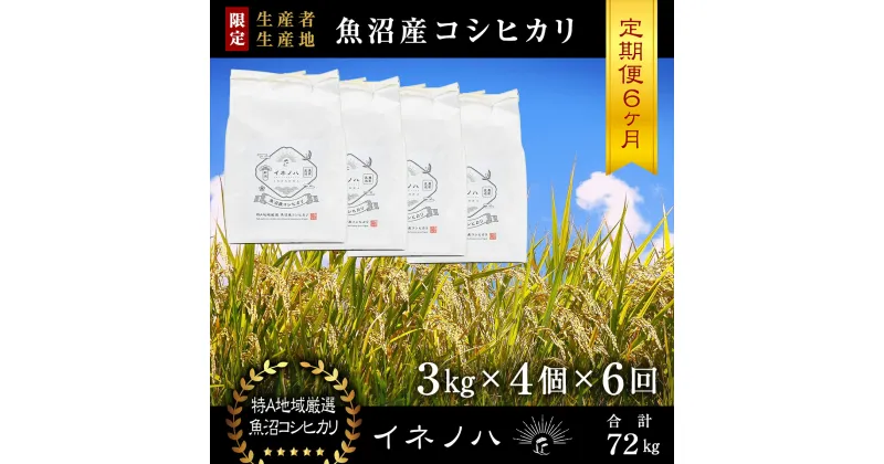 【ふるさと納税】＜定期便・全6回＞【令和6年産】魚沼産コシヒカリ「イネノハ 」精米(3kg×4)×6回　定期便・ お米 白米 ご飯 産地直送 ミネラル 栄養分 こだわり 人気 新鮮 　お届け：毎月1回、全6回お届けします