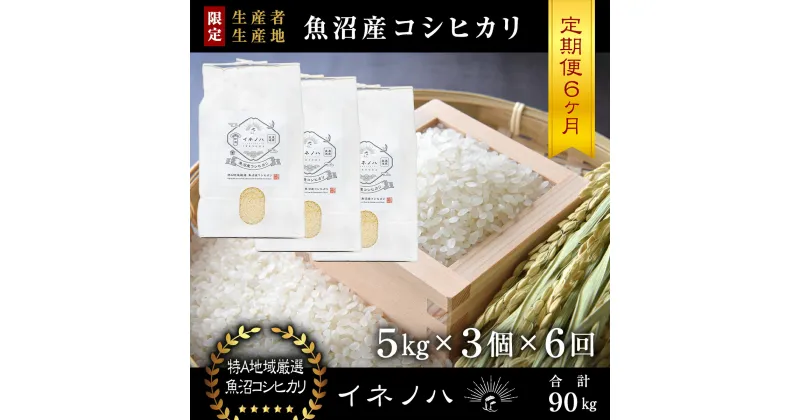 【ふるさと納税】＜定期便・全6回＞【令和6年産】魚沼産コシヒカリ「イネノハ 」精米(5kg×3)×6回　定期便・ お米 白米 ご飯 産地直送 ミネラル 栄養分 こだわり 人気 新鮮 　お届け：毎月1回、全6回お届けします