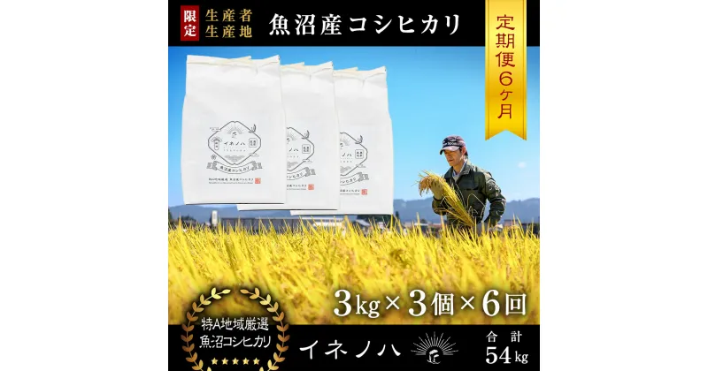 【ふるさと納税】＜定期便・全6回＞【令和6年産】魚沼産コシヒカリ「イネノハ 」精米(3kg×3)×6回　定期便・ お米 白米 ご飯 産地直送 ミネラル 栄養分 こだわり 人気 新鮮 　お届け：毎月1回、全6回お届けします