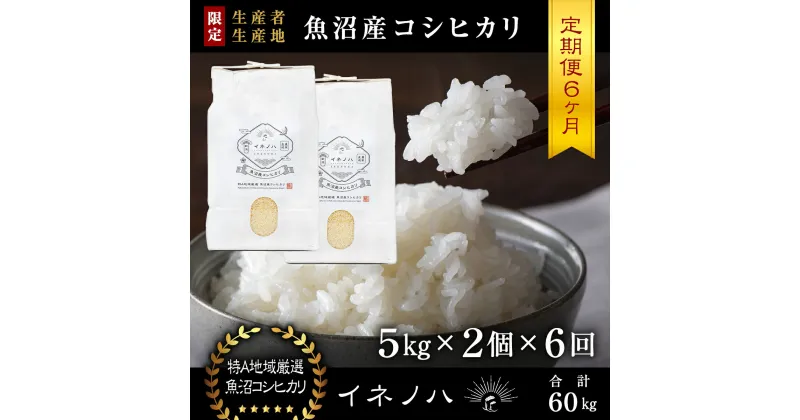 【ふるさと納税】＜定期便・全6回＞【令和6年産】魚沼産コシヒカリ「イネノハ 」精米(5kg×2)×6回　定期便・ お米 白米 ご飯 産地直送 ミネラル 栄養分 こだわり 人気 新鮮 　お届け：毎月1回、全6回お届けします