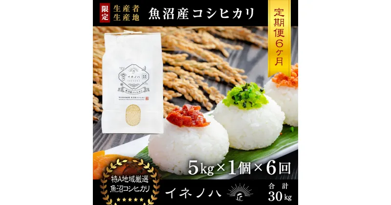 【ふるさと納税】＜定期便・全6回＞【令和6年産】魚沼産コシヒカリ「イネノハ 」精米(5kg×1)×6回　定期便・ お米 白米 ご飯 産地直送 ミネラル 栄養分 こだわり 人気 新鮮 　お届け：毎月1回、全6回お届けします