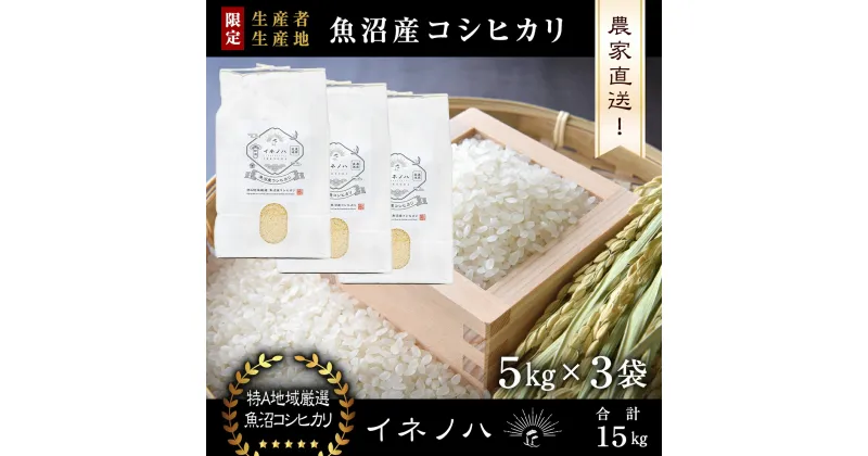 【ふるさと納税】【令和6年産】 魚沼産コシヒカリ　「イネノハ 」精米(5kg×3)　 お米 白米 ご飯 産地直送 ミネラル 栄養分 こだわり 人気 新鮮 　お届け：ご入金確認後、順次発送