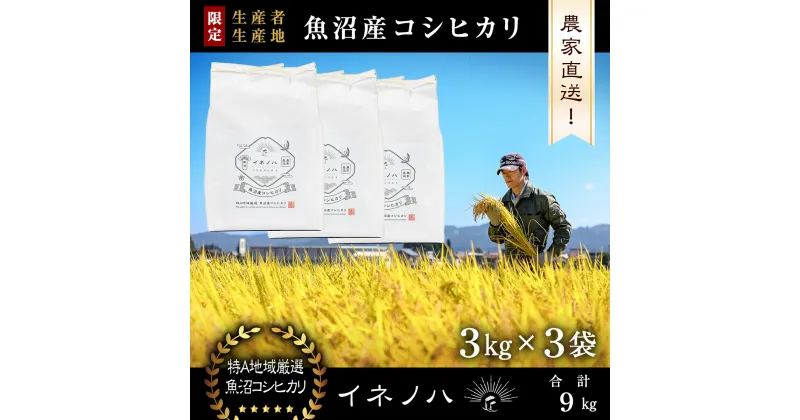 【ふるさと納税】【令和6年産】 魚沼産コシヒカリ　「イネノハ 」精米(3kg×3)　 お米 白米 ご飯 産地直送 ミネラル 栄養分 こだわり 人気 新鮮 　お届け：ご入金確認後、順次発送