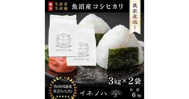 【ふるさと納税】【令和6年産】 魚沼産コシヒカリ　「イネノハ 」精米(3kg×2)　 お米 白米 ご飯 産地直送 ミネラル 栄養分 こだわり 人気 新鮮 　お届け：ご入金確認後、順次発送