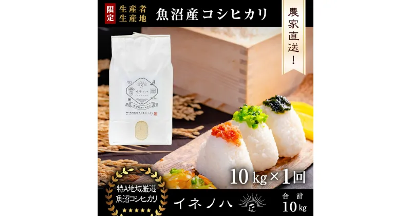 【ふるさと納税】【令和6年産】 魚沼産コシヒカリ　「イネノハ 」精米(10kg×1)　 お米 白米 ご飯 産地直送 ミネラル 栄養分 こだわり 人気 新鮮 　お届け：ご入金確認後、順次発送