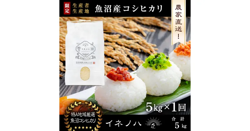 【ふるさと納税】【令和6年産】 魚沼産コシヒカリ　「イネノハ 」精米(5kg×1)　 お米 白米 ご飯 産地直送 ミネラル 栄養分 こだわり 人気 新鮮 　お届け：ご入金確認後、順次発送