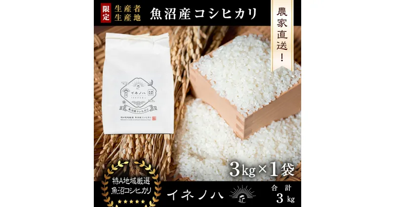 【ふるさと納税】【令和6年産】 魚沼産コシヒカリ　「イネノハ 」精米(3kg×1)　 お米 白米 ご飯 産地直送 ミネラル 栄養分 こだわり 人気 新鮮 　お届け：ご入金確認後、順次発送