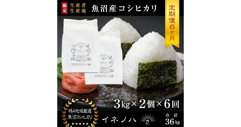 【ふるさと納税】＜定期便・全6回＞【令和6年産】魚沼産コシヒカリ「イネノハ 」精米(3kg×2)×6回　定期便・ お米 白米 ご飯 産地直送 ミネラル 栄養分 こだわり 人気 新鮮 　お届け：毎月1回、全6回お届けします