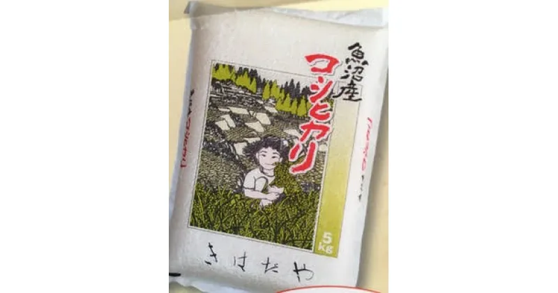 【ふるさと納税】魚沼産コシヒカリ 天日干し米 5kg　 米 お米 おこめ こめ 精米 白米 コシヒカリ こしひかり 新潟 　お届け：通年