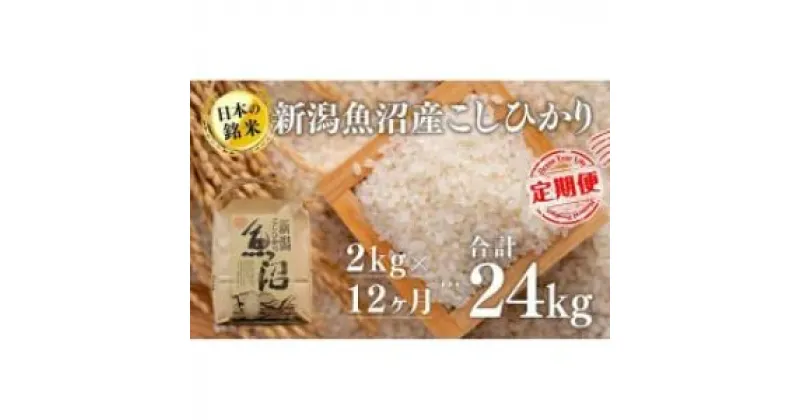 【ふるさと納税】【12カ月定期便】新潟魚沼産こしひかり（精米）2kg　定期便・ お米 米 コメ コシヒカリ 魚沼産