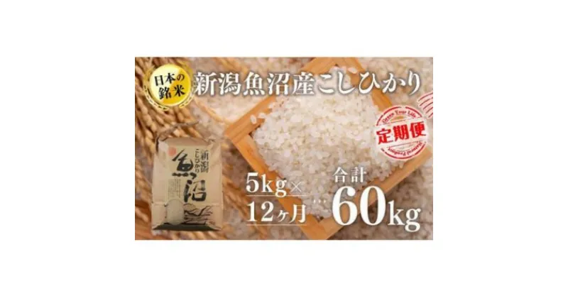 【ふるさと納税】【12カ月定期便】新潟魚沼産こしひかり（精米）5kg　定期便・ お米 米 コメ コシヒカリ 魚沼産