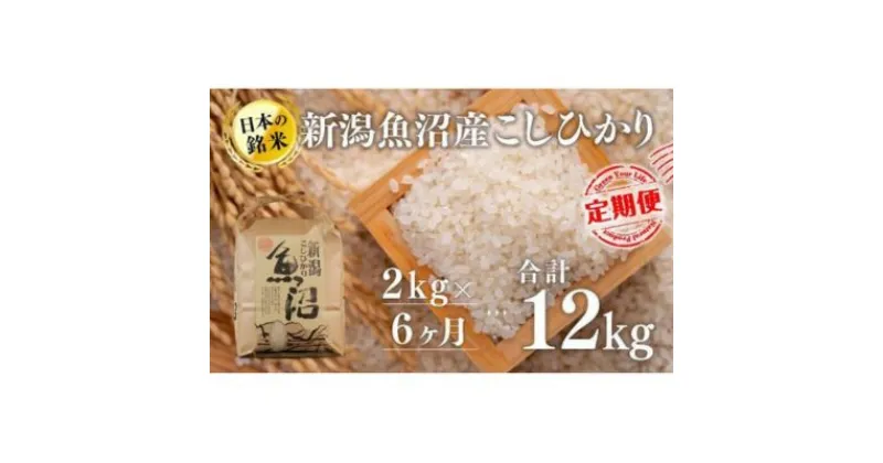 【ふるさと納税】【6カ月定期便】新潟魚沼産こしひかり（精米）2kg　定期便・ お米 米 コメ コシヒカリ 魚沼産